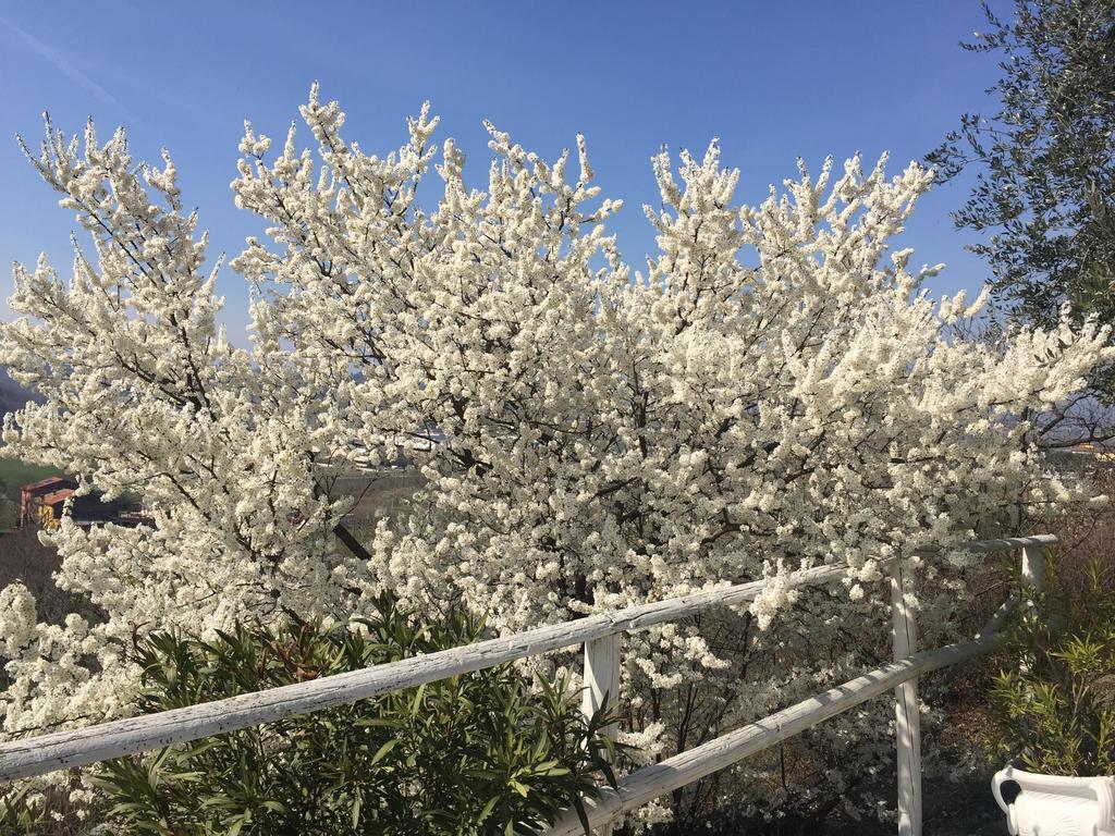 Relais Il Pigno Konuk evi Affi Dış mekan fotoğraf